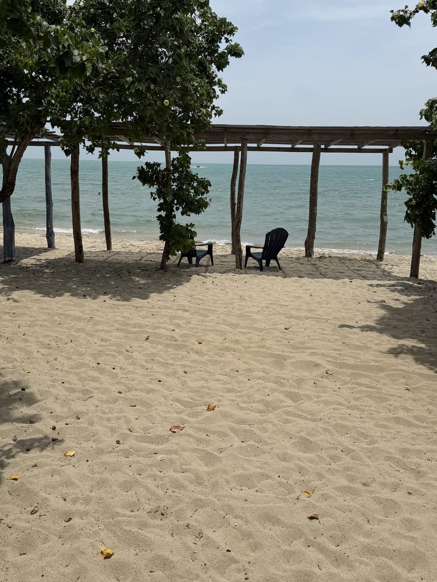 Pérgola de madera sobre la arena, con sillas frente al mar